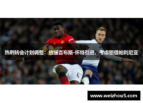 热刺转会计划调整：放缓吉布斯-怀特引进，考虑租借帕利尼亚