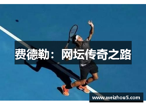 费德勒：网坛传奇之路